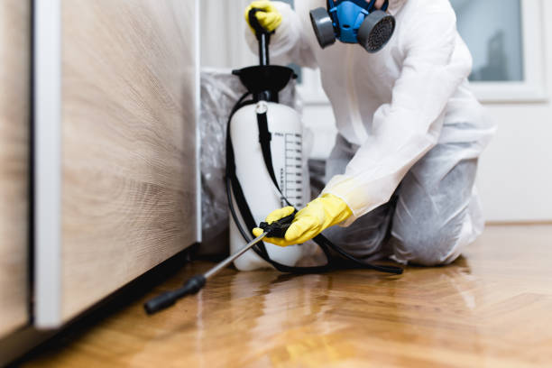 Trusted Greer, SC Pest Control Experts