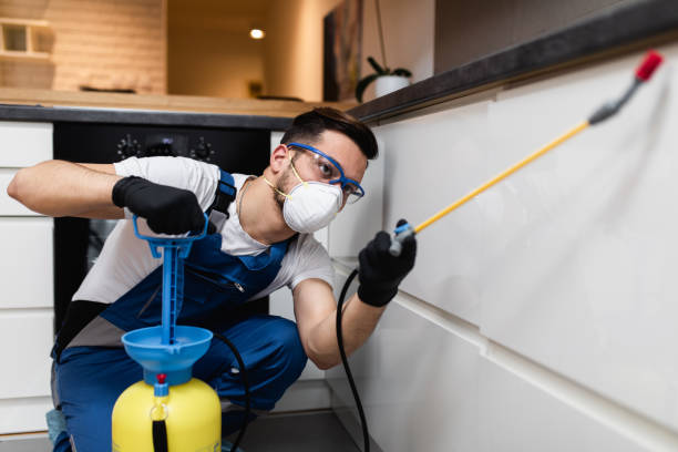 Best Mosquito Control Services  in Greer, SC