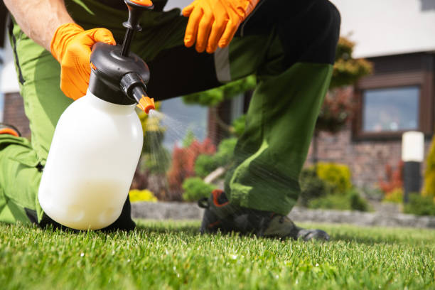 Best Pest Control for Restaurants  in Greer, SC