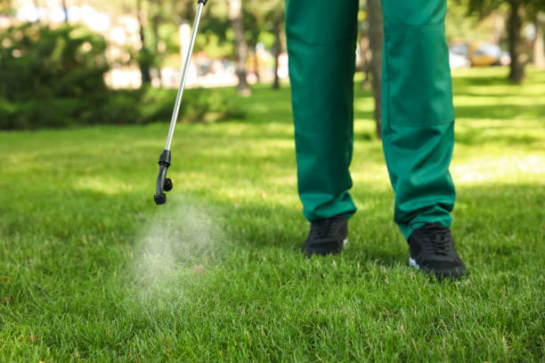 Best Wasp Removal Services  in Greer, SC