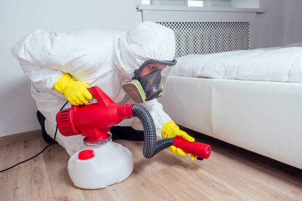 Best Flea Control Services  in Greer, SC