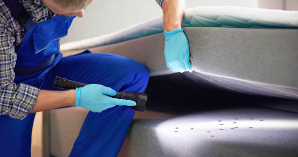 Best Pest Removal Services  in Greer, SC