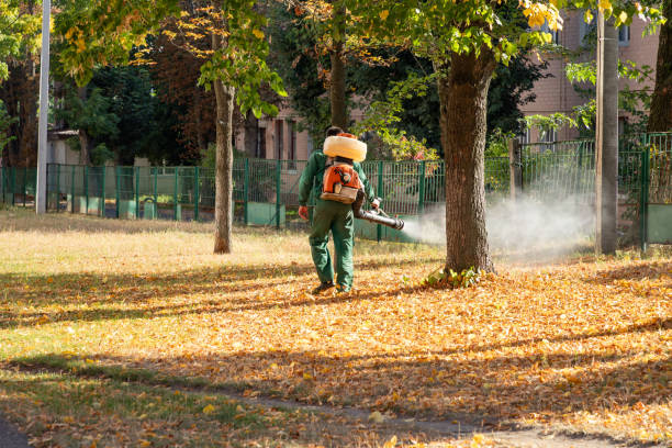 Best Wildlife Control Services  in Greer, SC