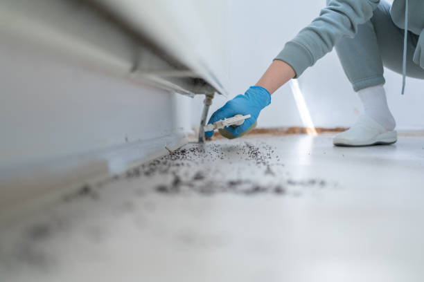 Best Affordable Pest Control Services  in Greer, SC